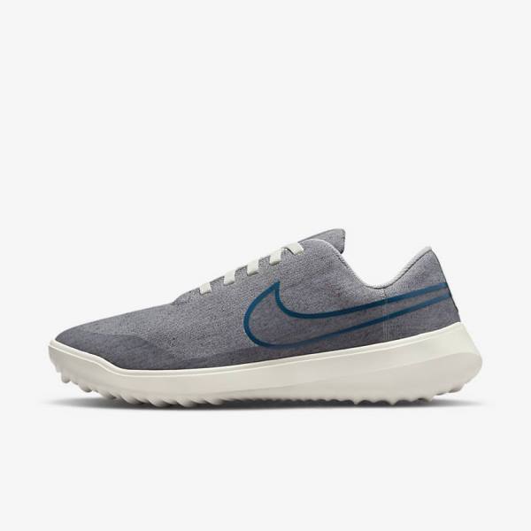 Zapatos De Golf Nike Victory G Lite NN Hombre Gris | NK120WUK